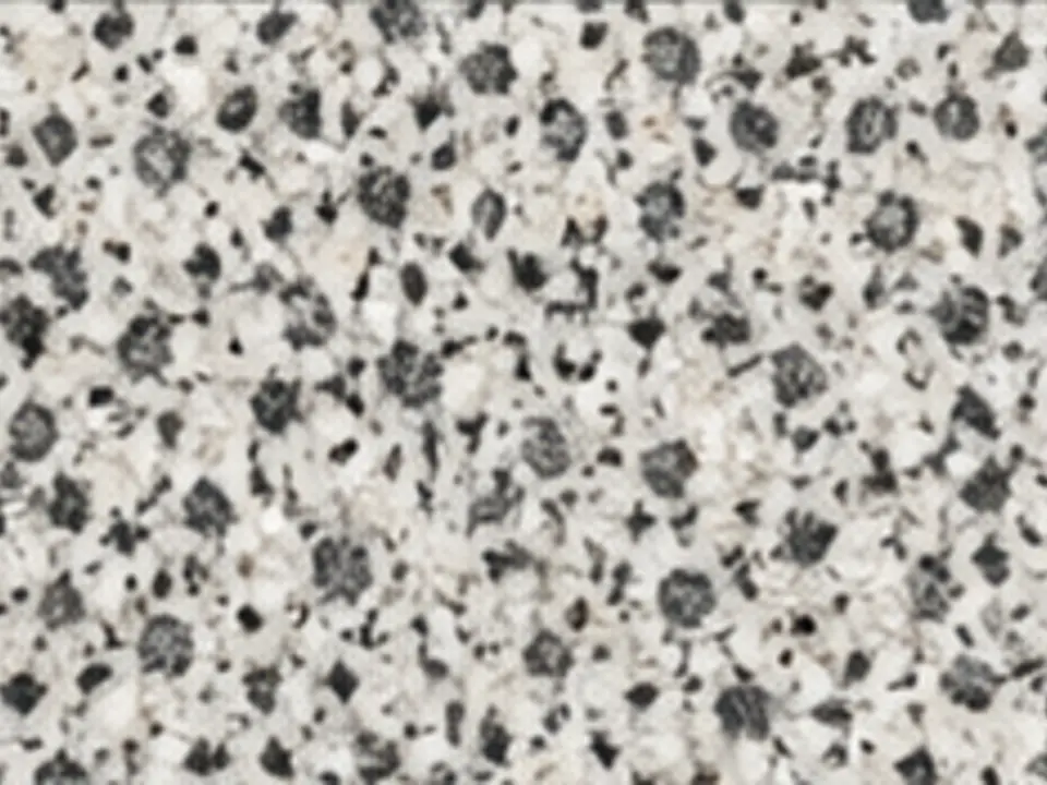 Chapa da pedra Granito Branco Dálmata