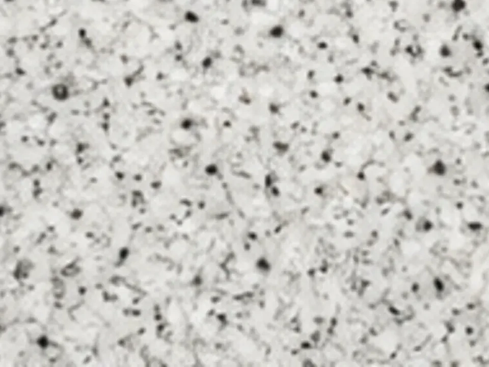 Chapa da pedra Granito Branco Polar